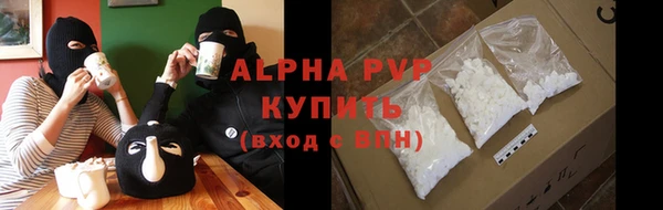 стаф Арсеньев