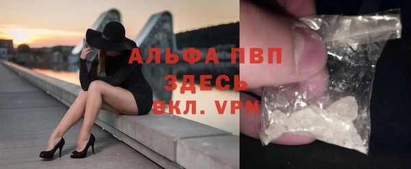 стаф Арсеньев
