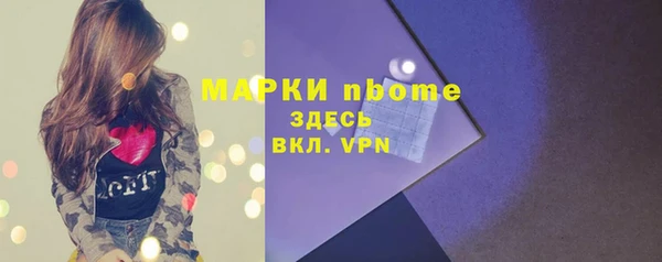 стаф Арсеньев