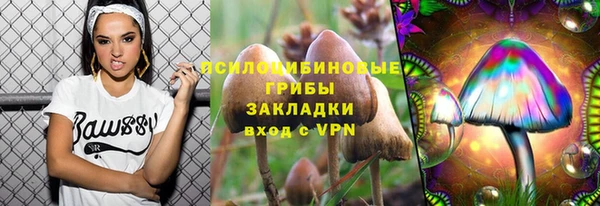 мдпв Армянск