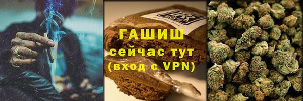 стаф Арсеньев