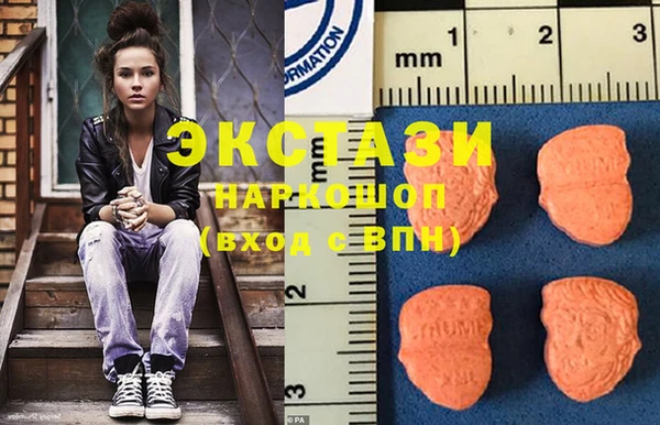 молекула духа Богданович