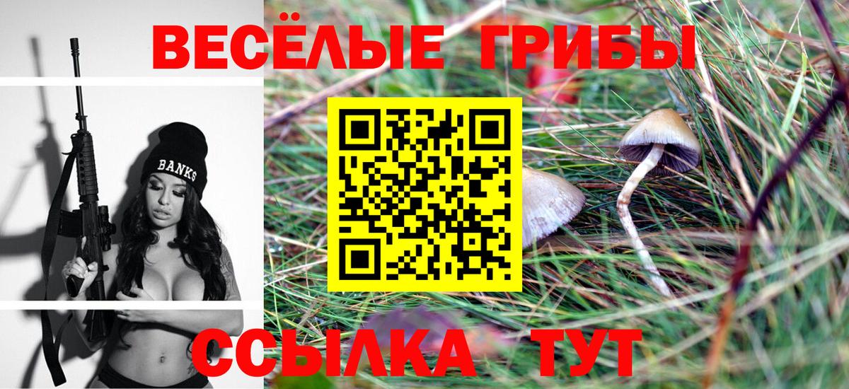 наркошоп  Галлюциногенные грибы мухоморы  Псилоцибиновые грибы Psilocybine cubensis  Вход с VPN  Всеволожск 