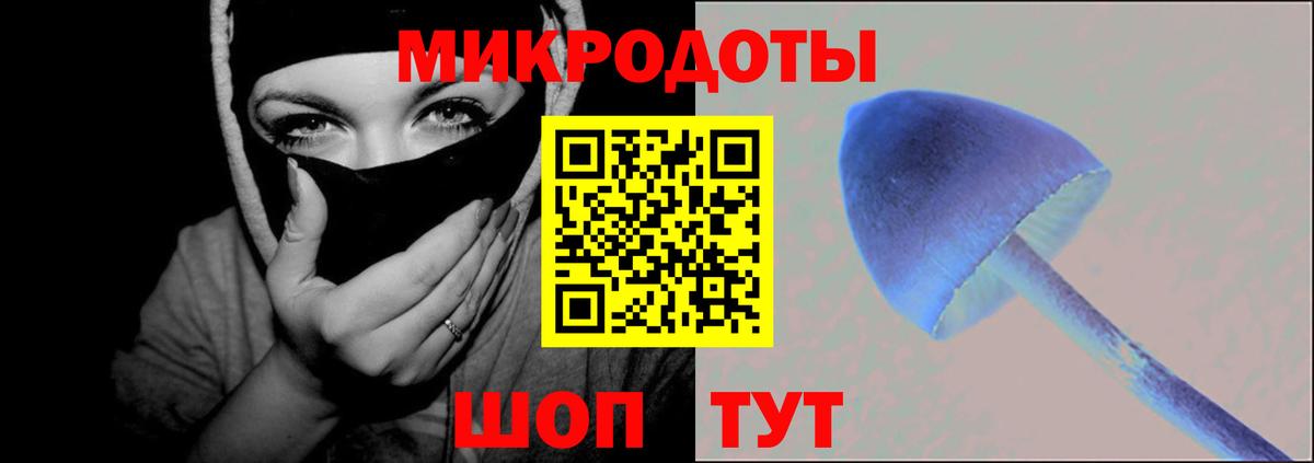Псилоцибиновые грибы Psilocybine cubensis Всеволожск