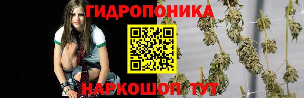 МАРИХУАНА Ganja  Вход с VPN  Марихуана AK-47  Марихуана Ganja  Шишки марихуана ГИДРОПОН  Всеволожск 